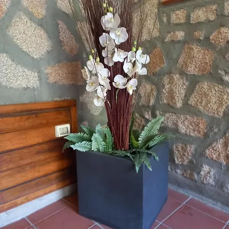 Olimpia Hotel